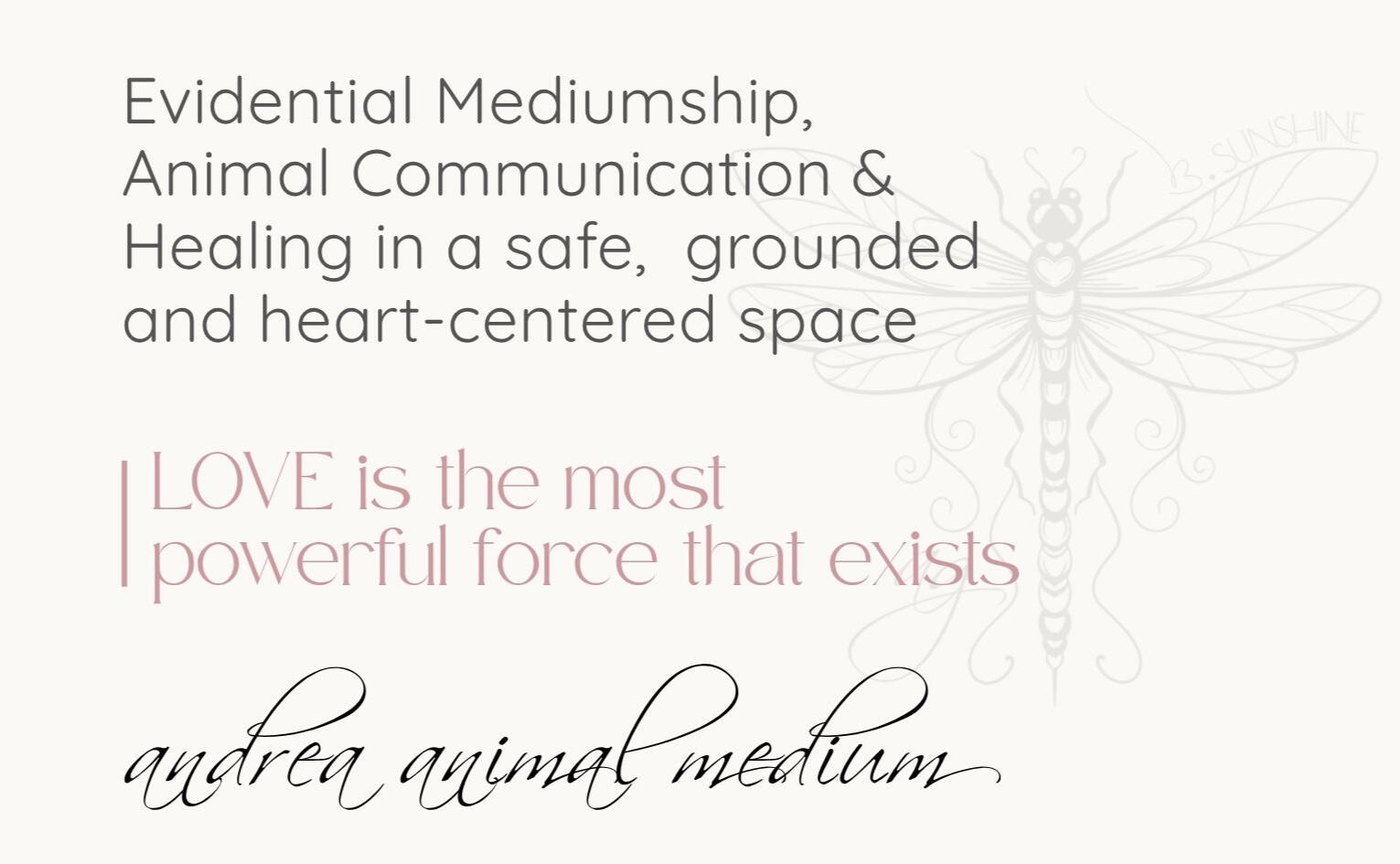 Text image with the phrase "Love is the most powerful force that exists", followed by the name "Andrea, Animal Medium".