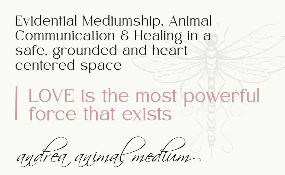 Text image with the phrase "Love is the most powerful force that exists", followed by the name "Andrea, Animal Medium".