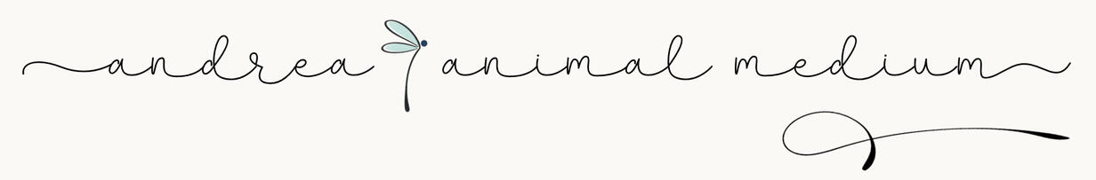 Image with the text “Thank you for your message, I’ll be in touch soon.”