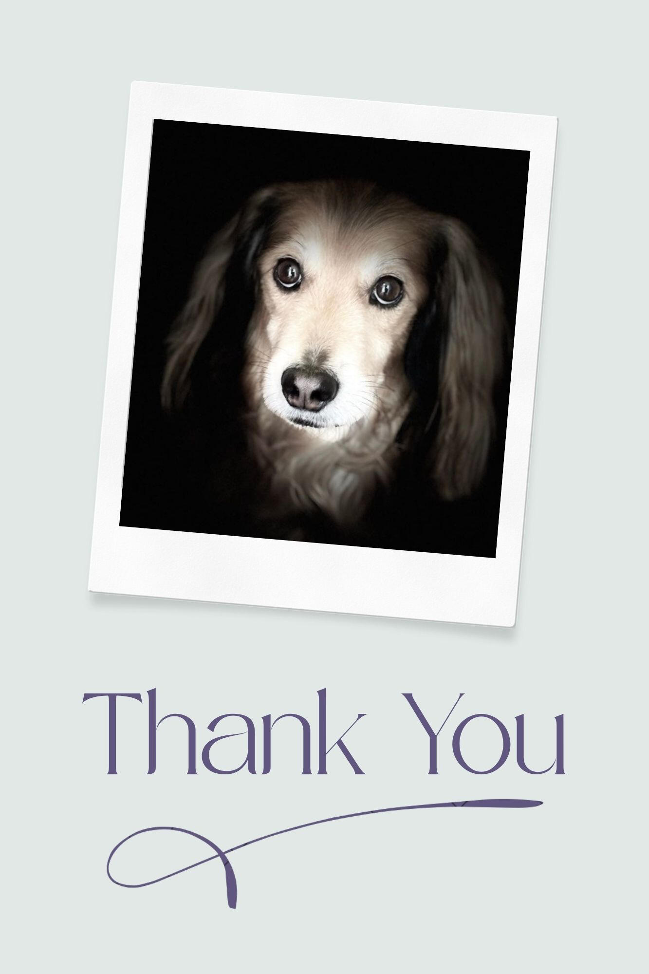 Michel, with the text “Thank you”.