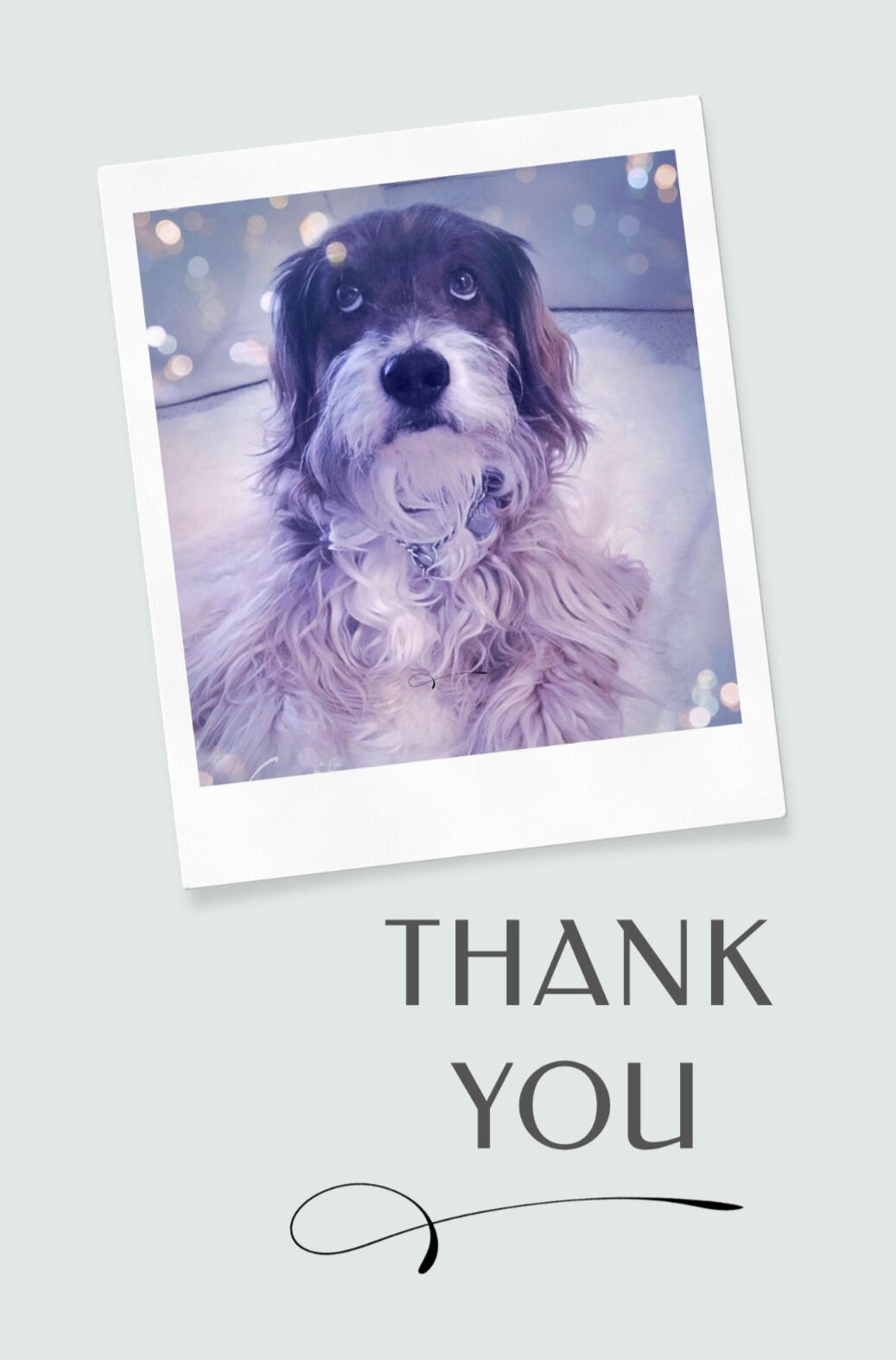 Noel, with the text “Thank you",
