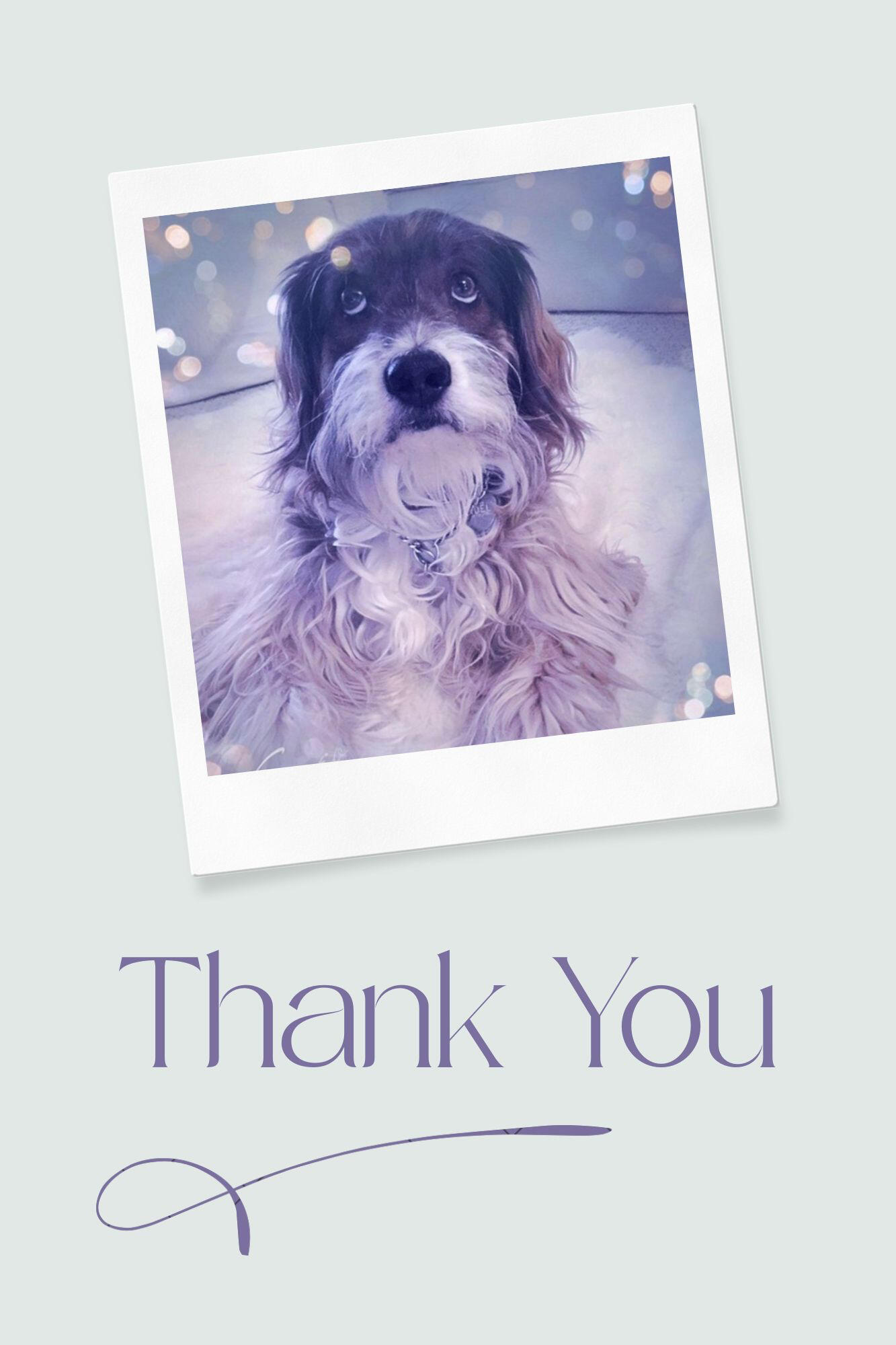 Noel, with the text “Thank you",